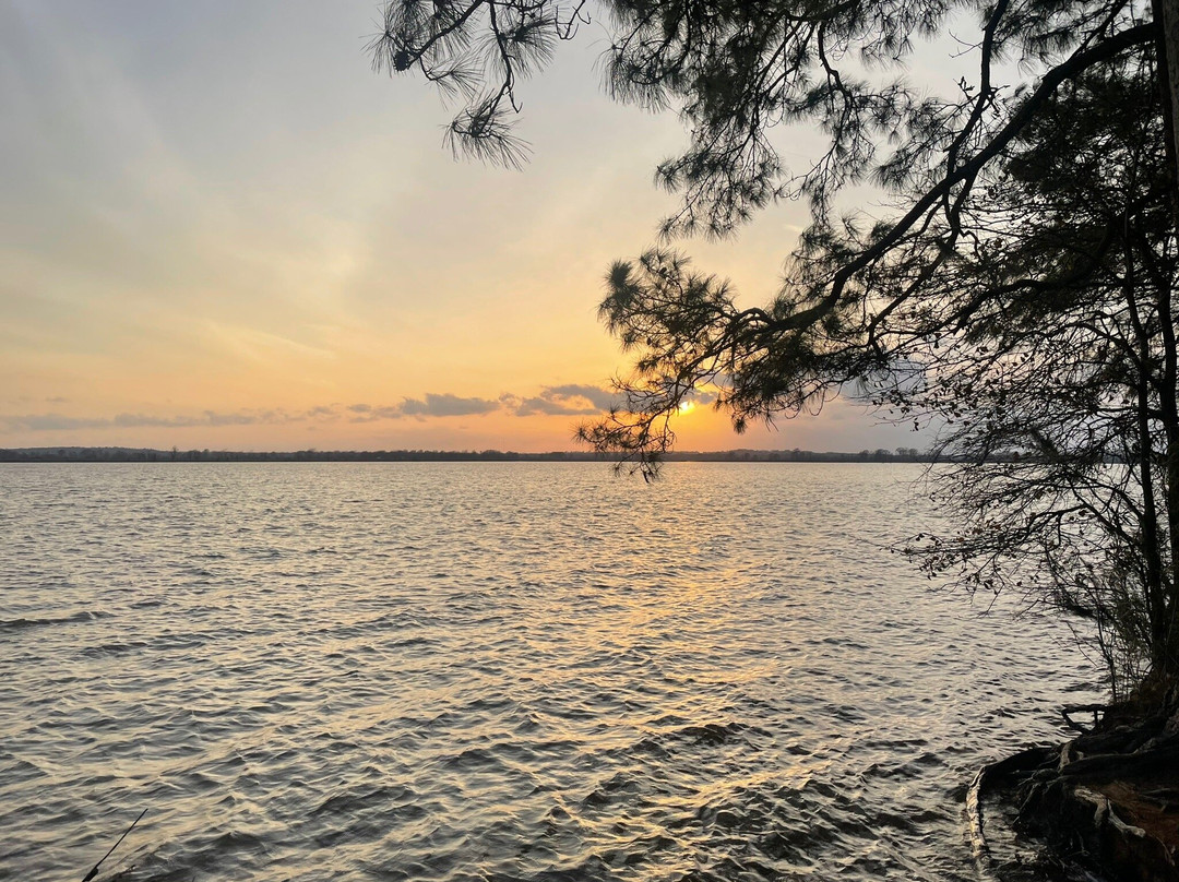 Martin Dies, Jr. State Park-Jasper必去景点