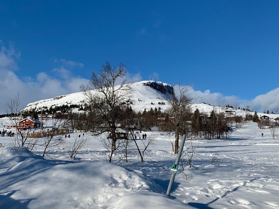 Skeikampen Alpinecentre-Gausdal Municipality必去景点
