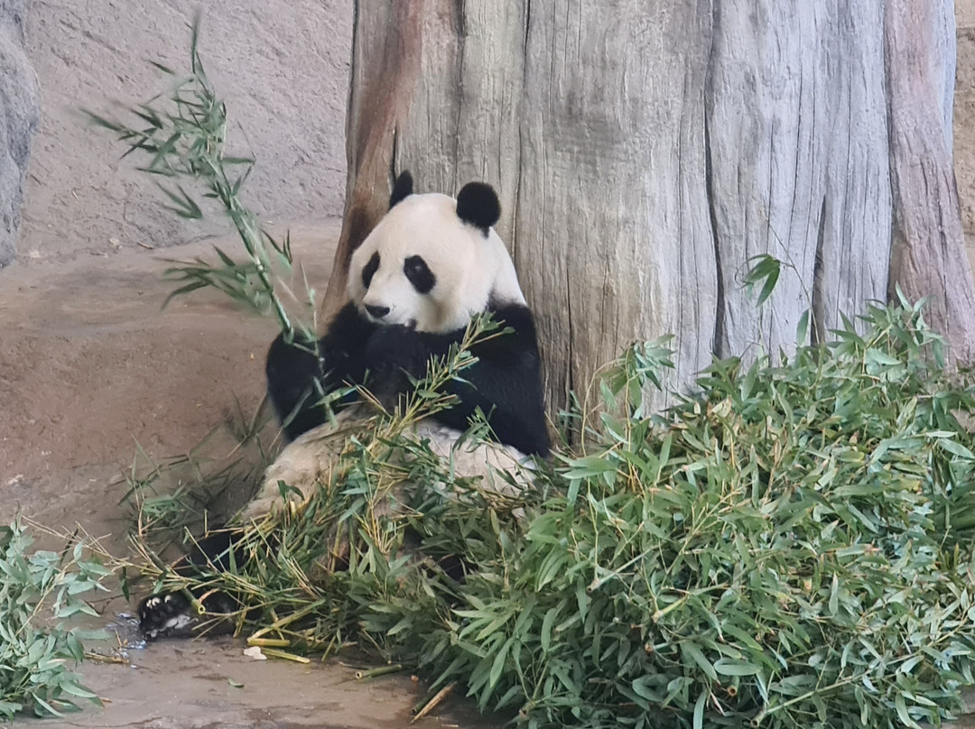Ahtari Zoo-Ähtäri必去景点