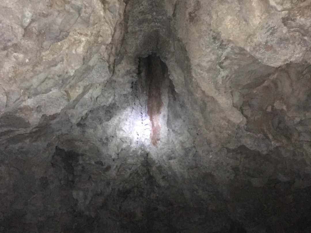 Parque Municipal Gruta Do Bacaetava景点图片