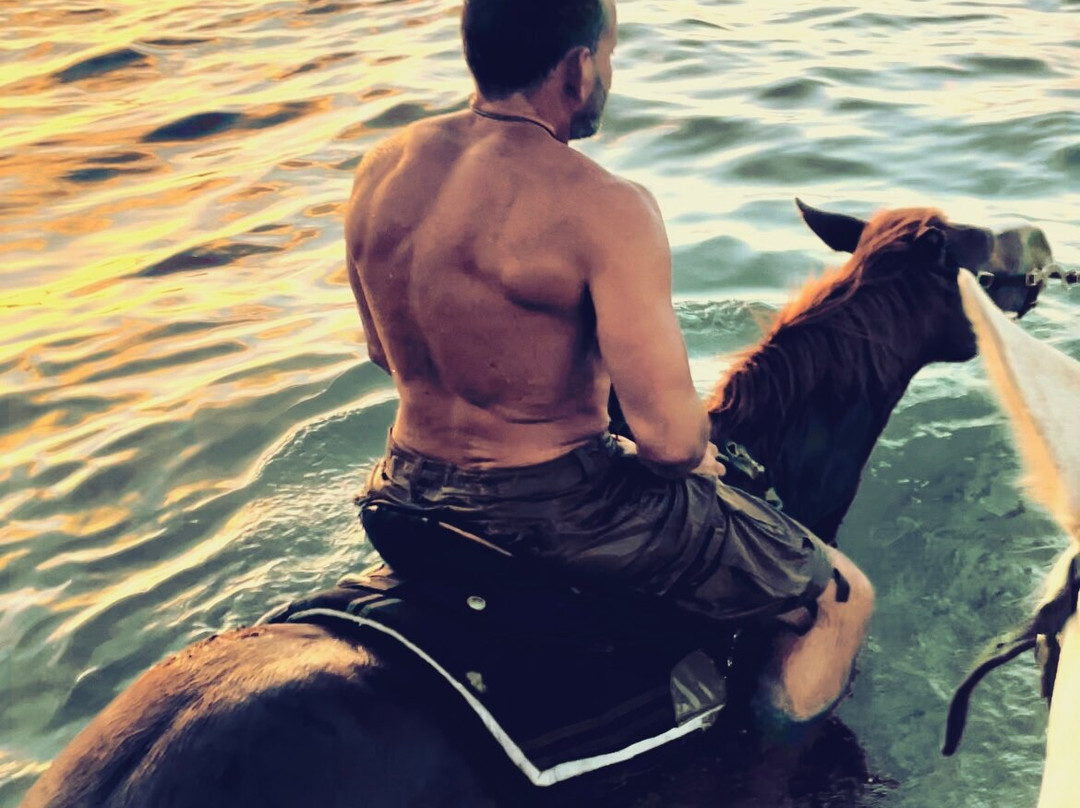 Equus Rides Horseback Riding St. Croix-Frederiksted必去景点