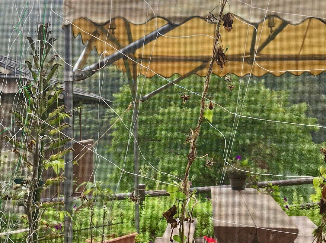 Tsuru no Yu-三岛町必去景点