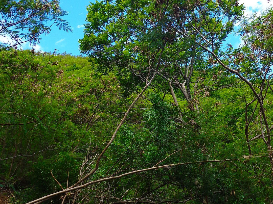 Notre Dame Du Pacifique-努美阿必去景点