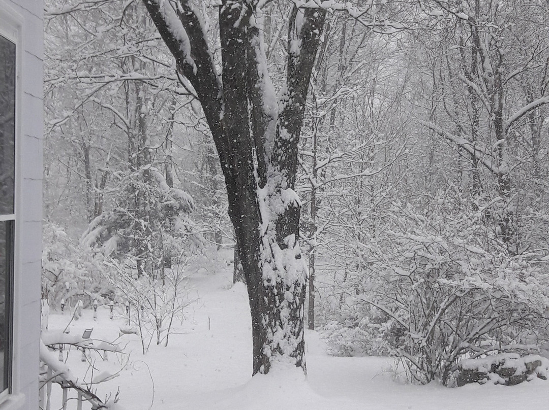 Proctor Mansion Inn主图