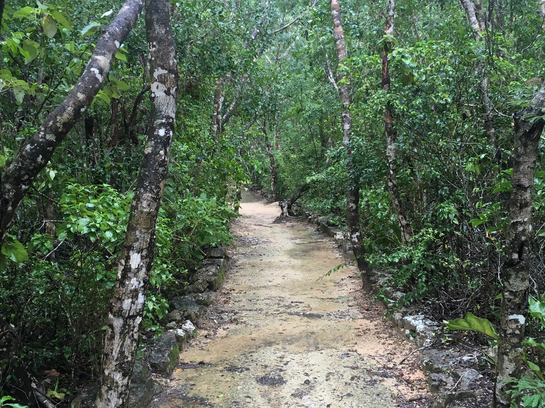 Cenote Xunaan-Ha景点图片