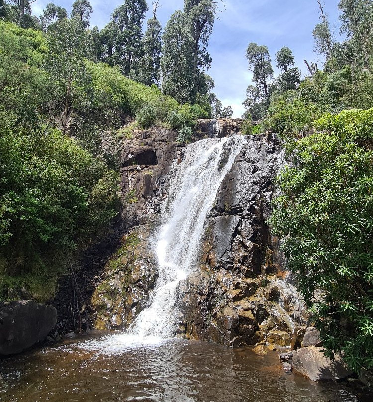 Steavenson Falls景点图片