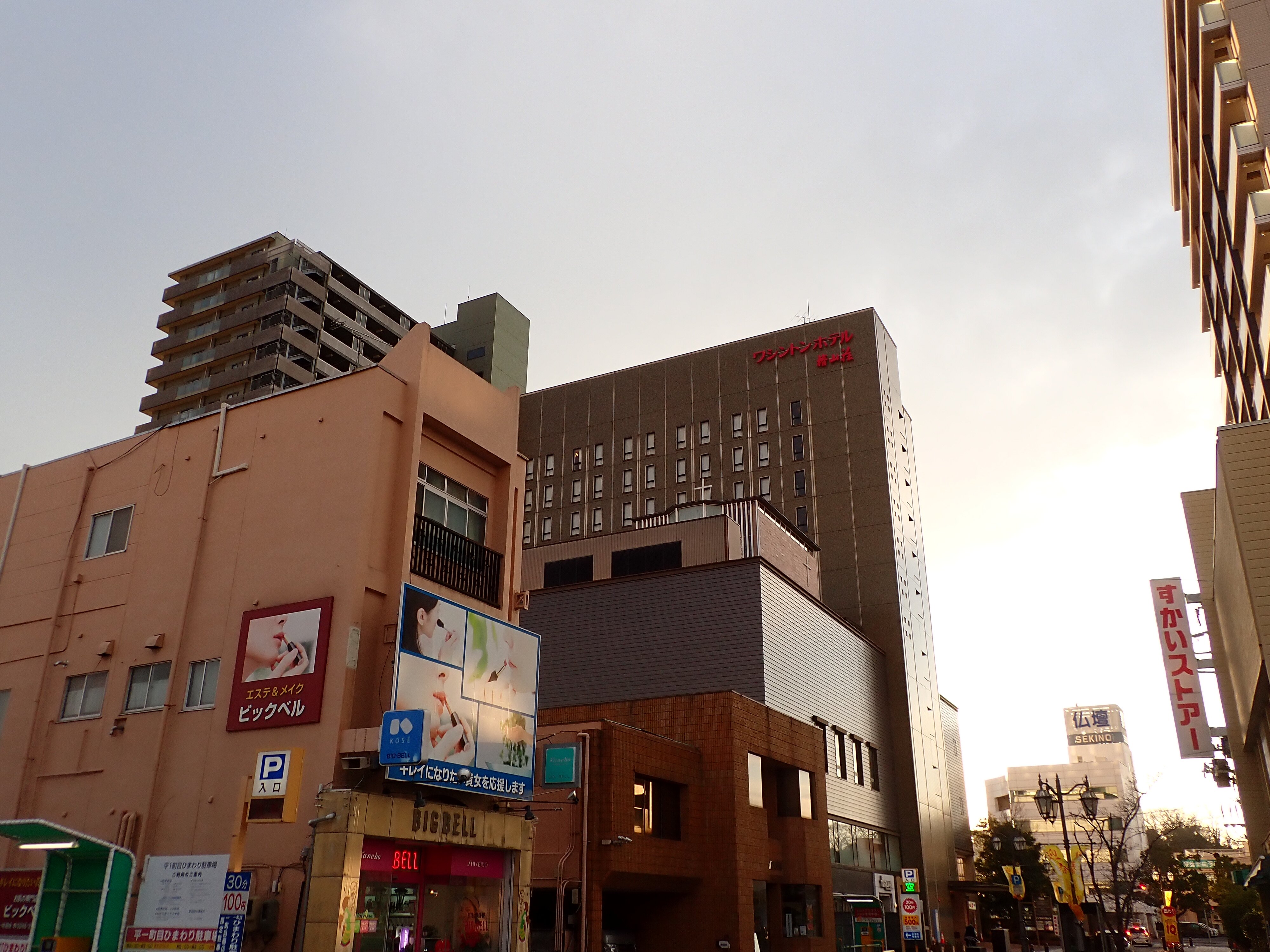 Iwaki Washington Hotel-浴室
