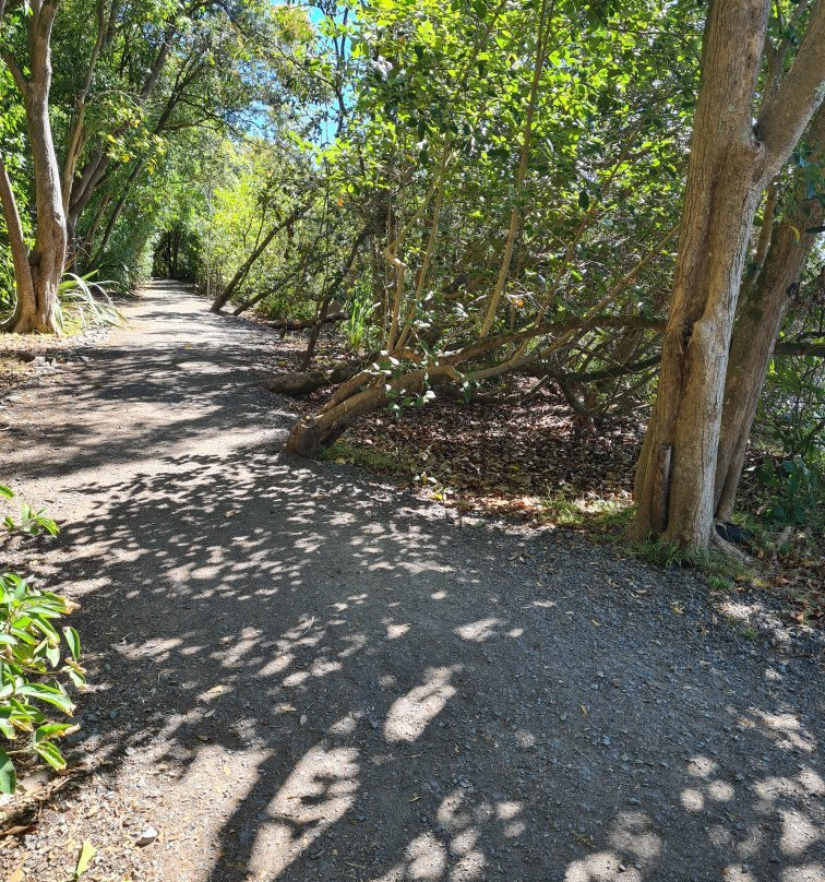 Orakei Basin - not Orakei Korako!景点图片