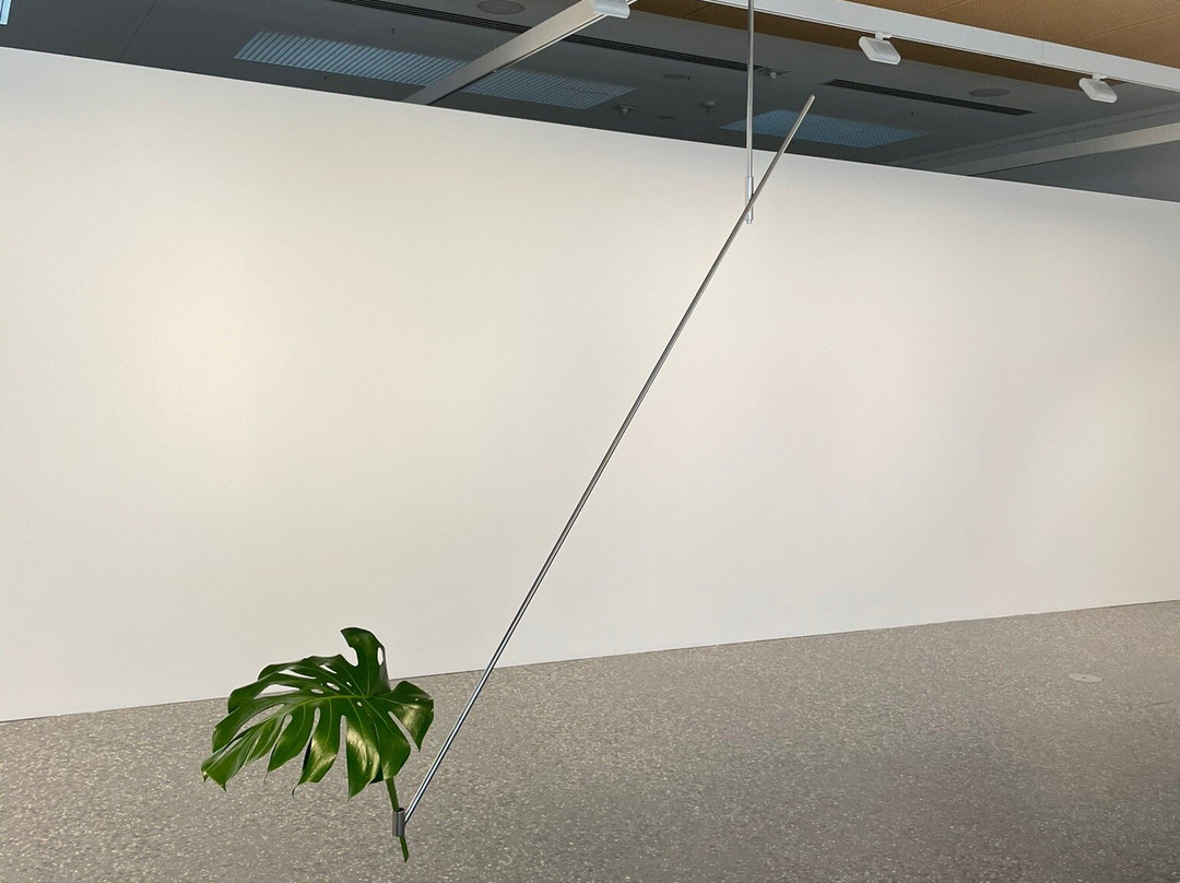 MAMA - Murray Art Museum Albury景点图片