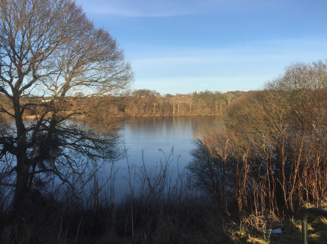 Balgavies Loch-Forfar必去景点
