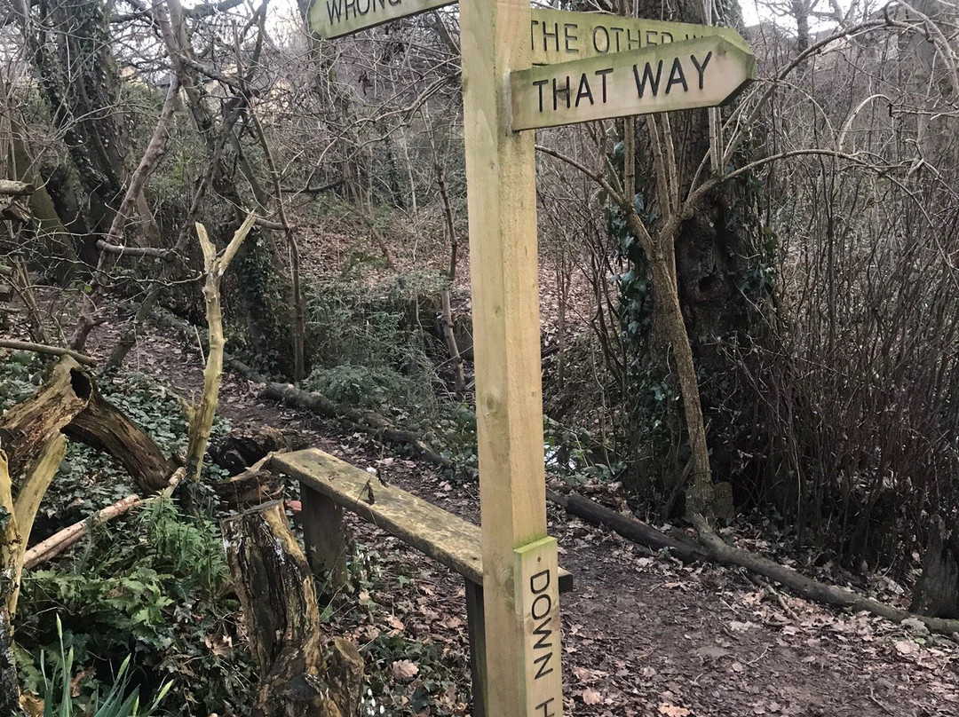 Churwell Woodland Railway-Morley必去景点