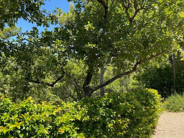 Villa La Coste主图