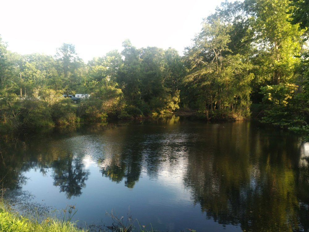 The Cove Rv Park