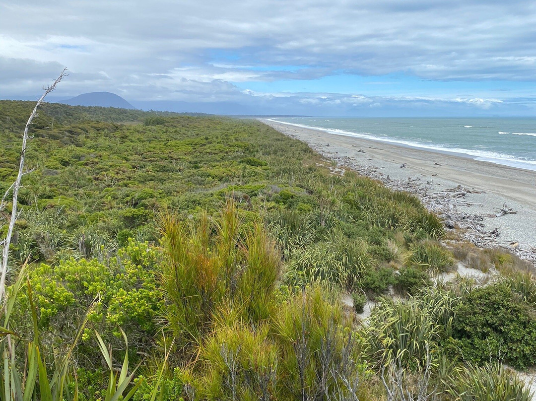 Haast River Safari景点图片