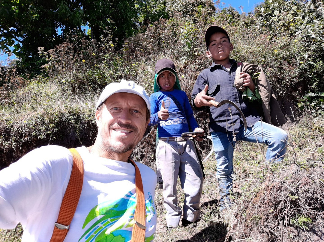 Posada Margaritas主图