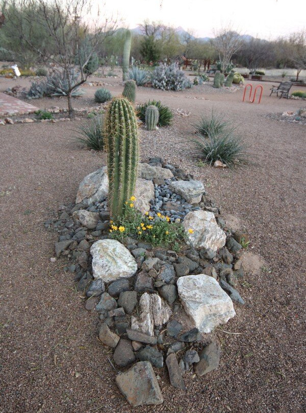 Desert Meadows Park-Green Valley必去景点