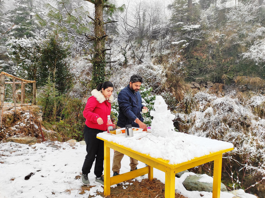 Jibhi Homestead主图