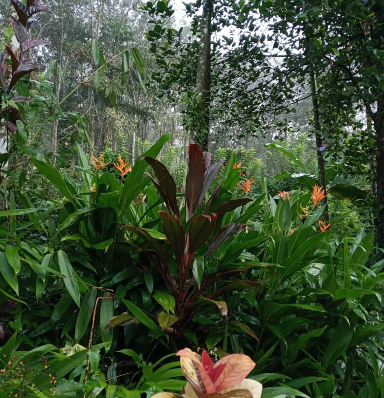 Kingdom Secret主图