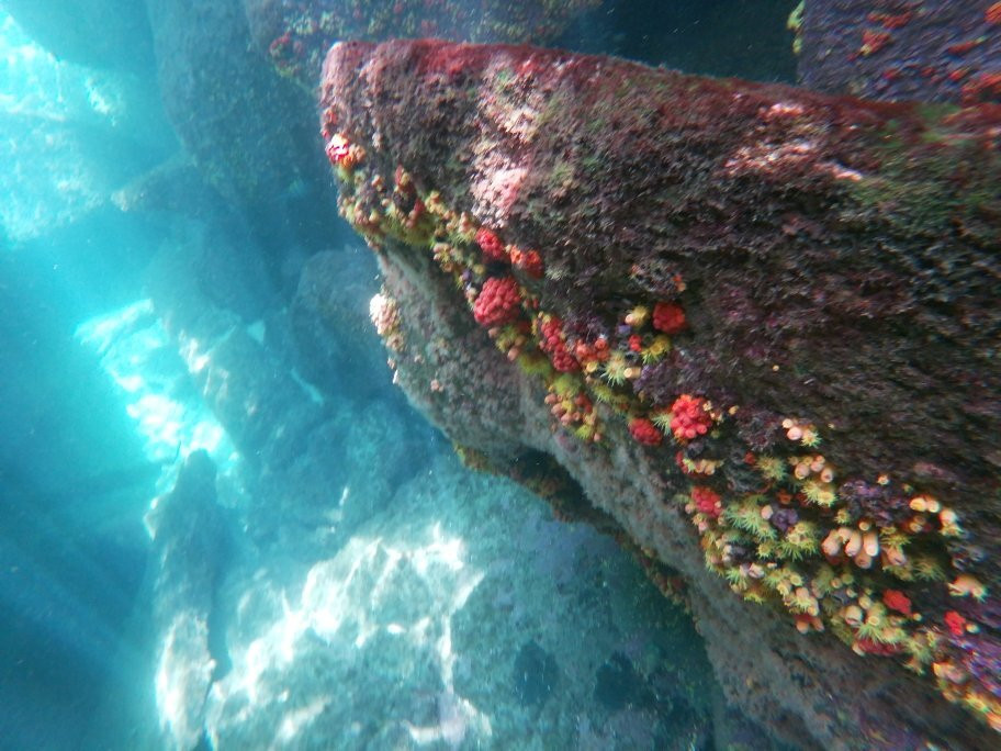 Chama maré táxi boate-Paraty Mirim必去景点