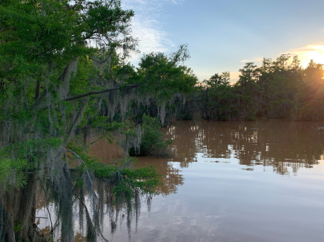 Pig Problem Inc.-Americus必去景点
