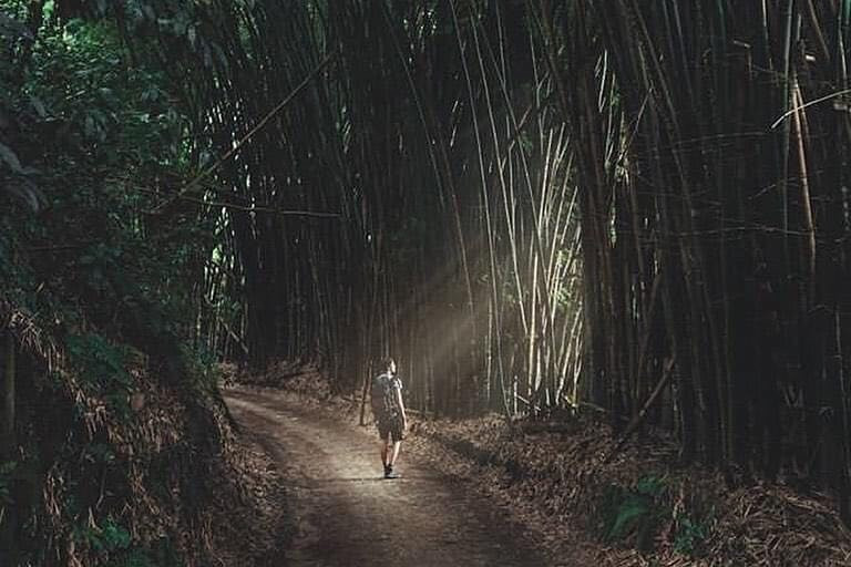 River Adventure Tours Minca-Minca必去景点