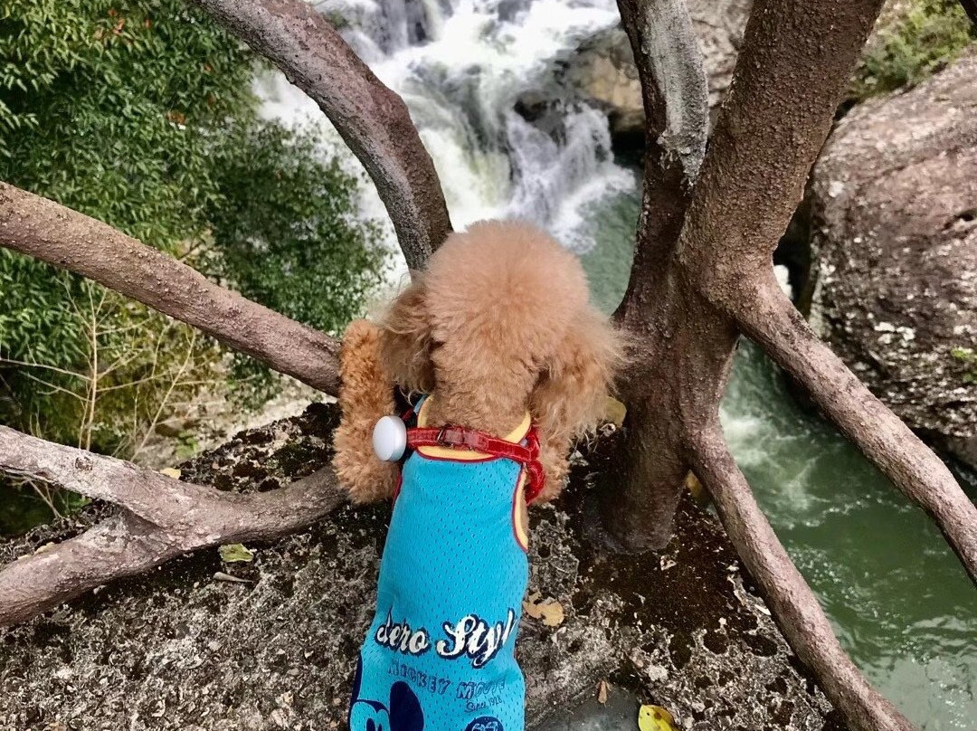 宁德鸳鸯溪-屏南县必去景点