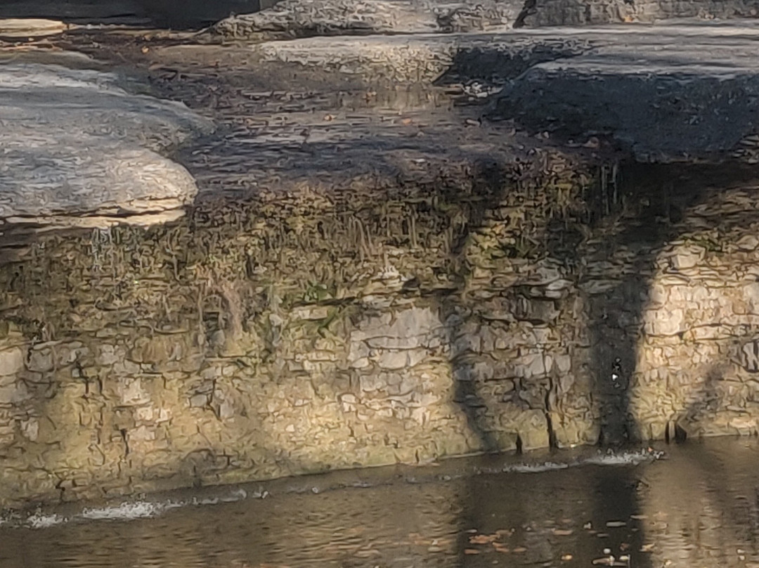 Tryst Falls Park-Excelsior Springs必去景点