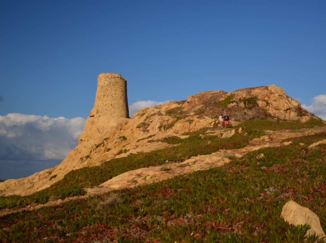 Phare de la Pietra-Ile Rousse必去景点