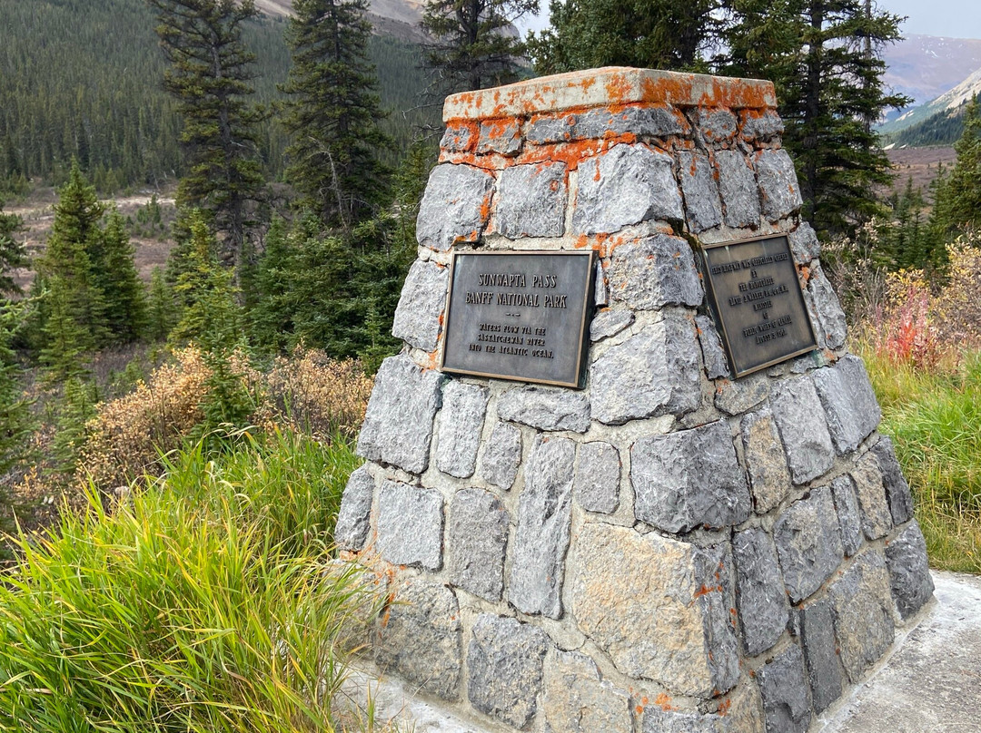 Sunwapta Pass-艾伯塔必去景点