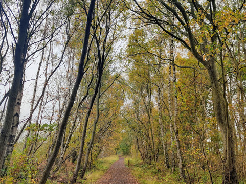 Wynyard Woodland Park-斯托克顿提斯必去景点