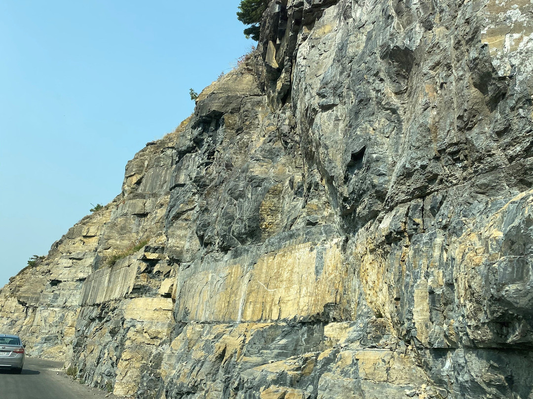 The Loop-西格拉西尔必去景点