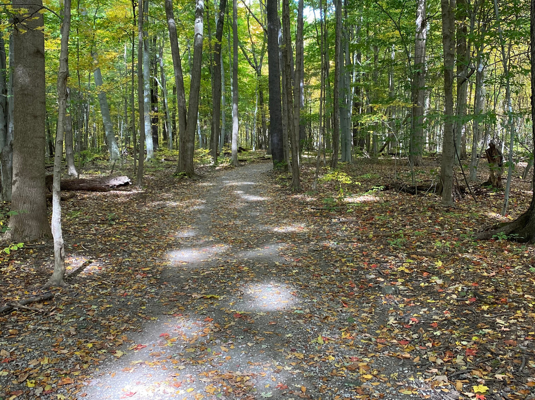 Frohring Meadows-Chagrin Falls必去景点