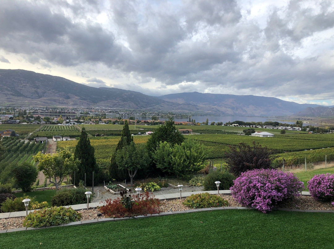 The White Horse Bed and Breakfast主图