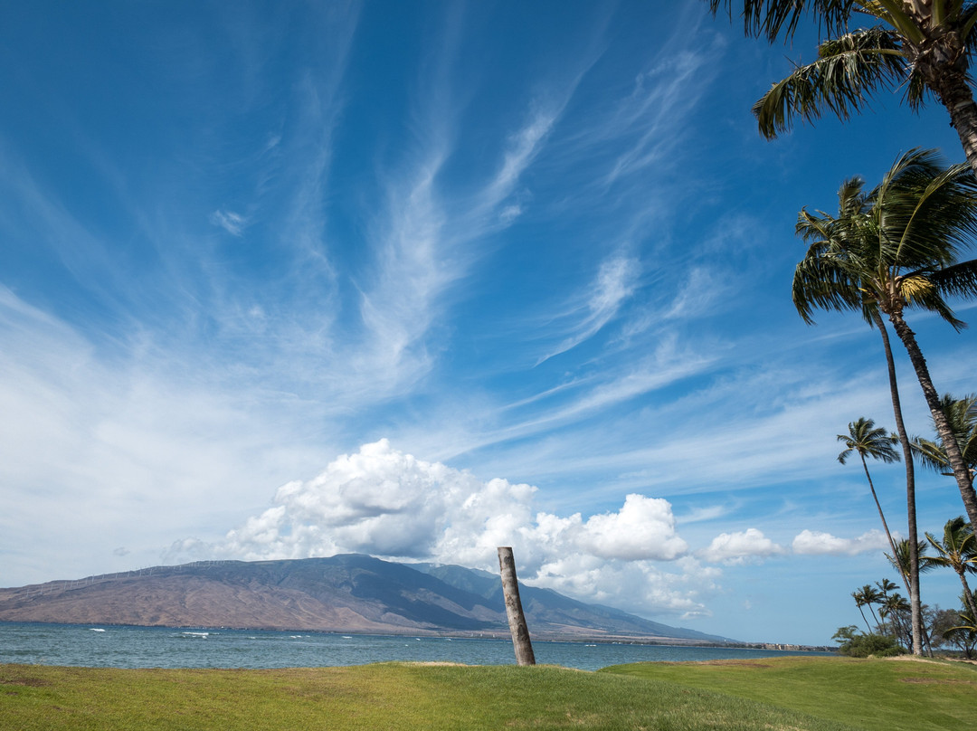 Waipuilani Park景点图片