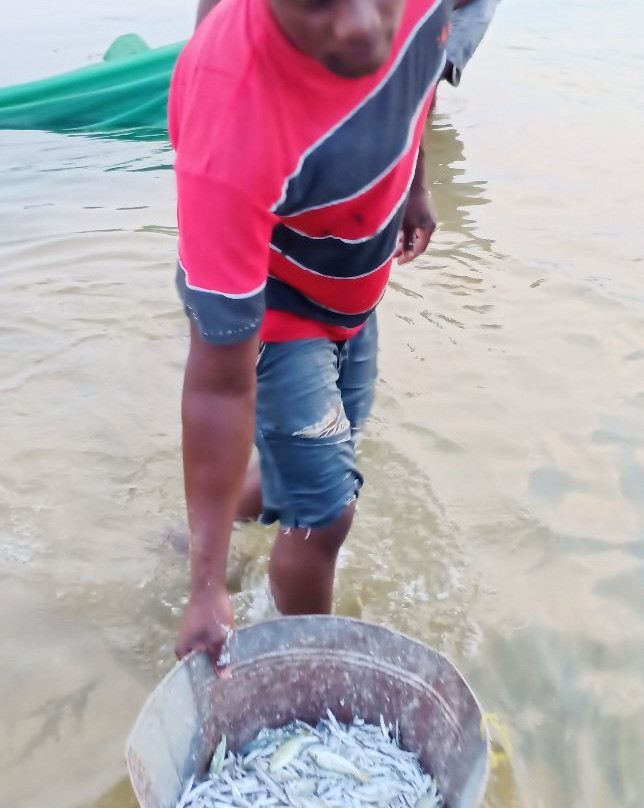 Mango Beach Lodge主图