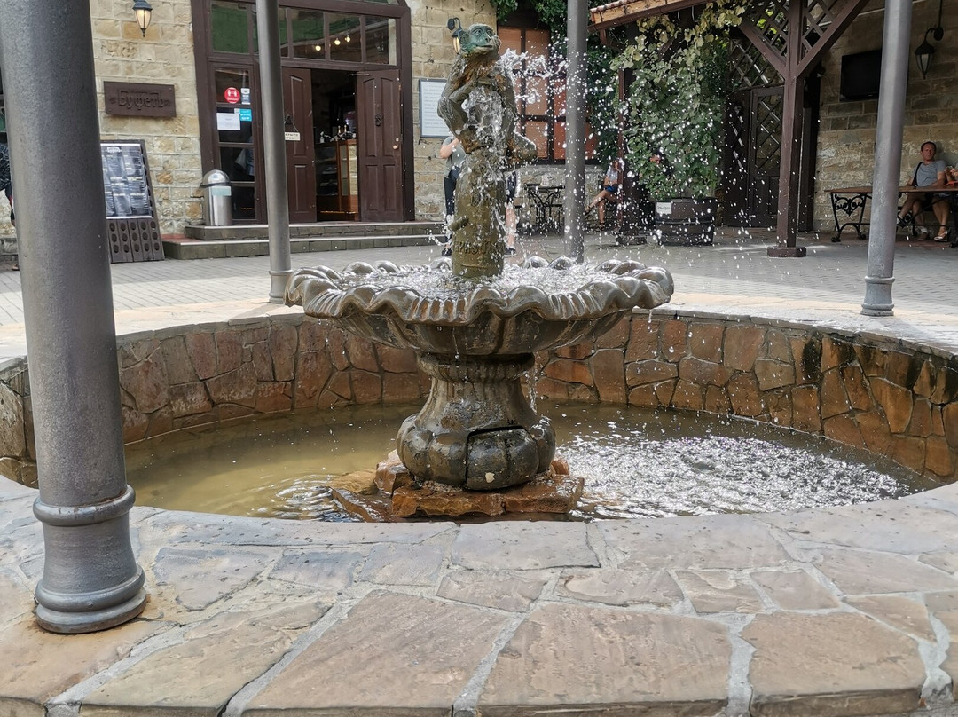Fountain the Marmoset景点图片
