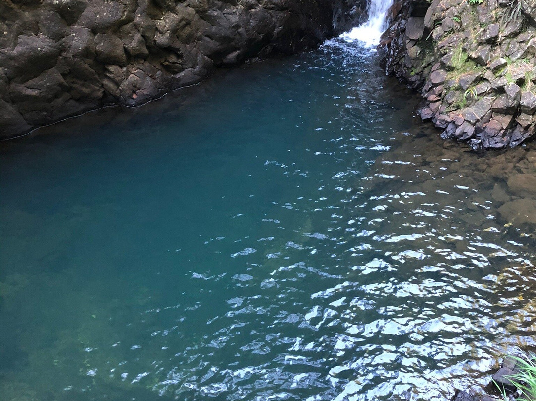 Pauanui Waterfall景点图片