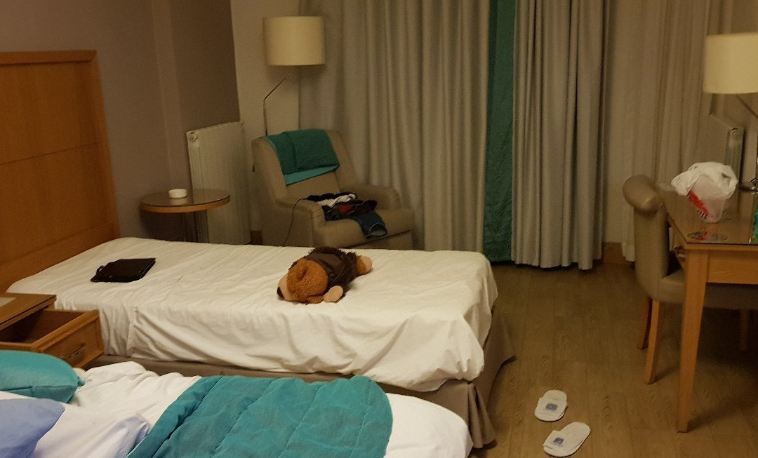 Plus Hôtel Sétif主图