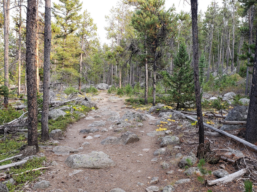Silver Run Trails-雷德洛治必去景点