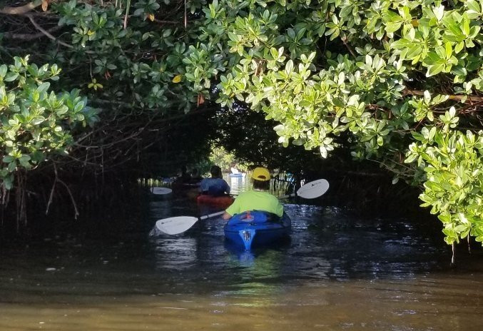 Island Kayak Tours, Llc-Tierra Verde必去景点