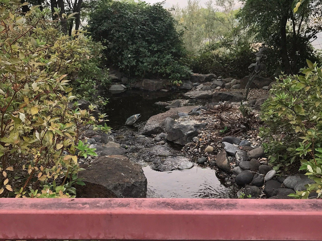 Hells Gate State Park景点图片