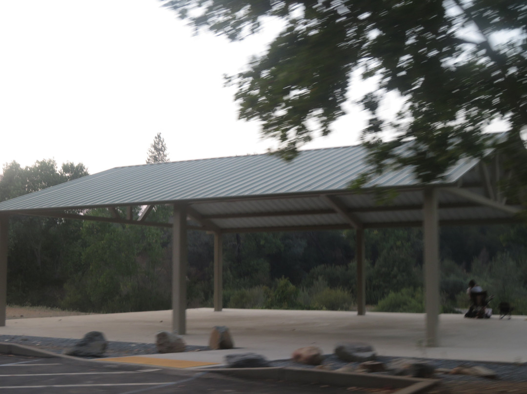 Henningsen Lotus Park-Lotus必去景点