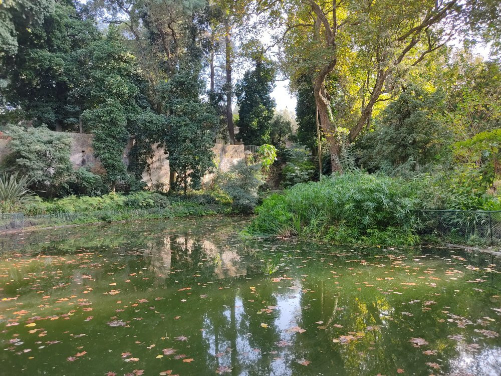 Parque Botânico do Monteiro-Mor景点图片