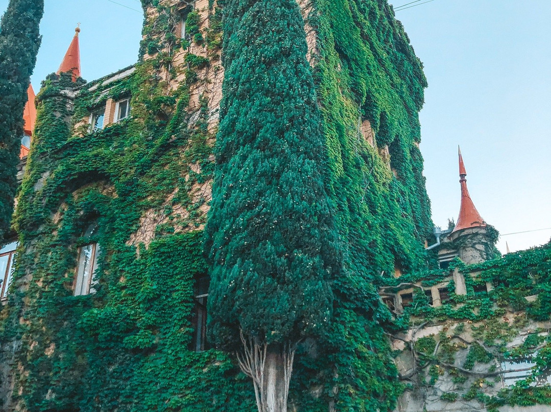 Palace Princess Gagarіna景点图片