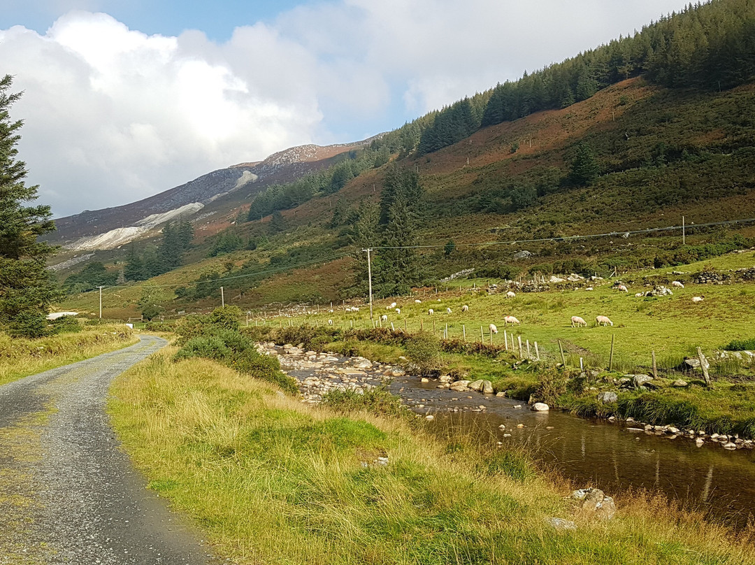 Wicklow Scenic Walks-Wicklow必去景点
