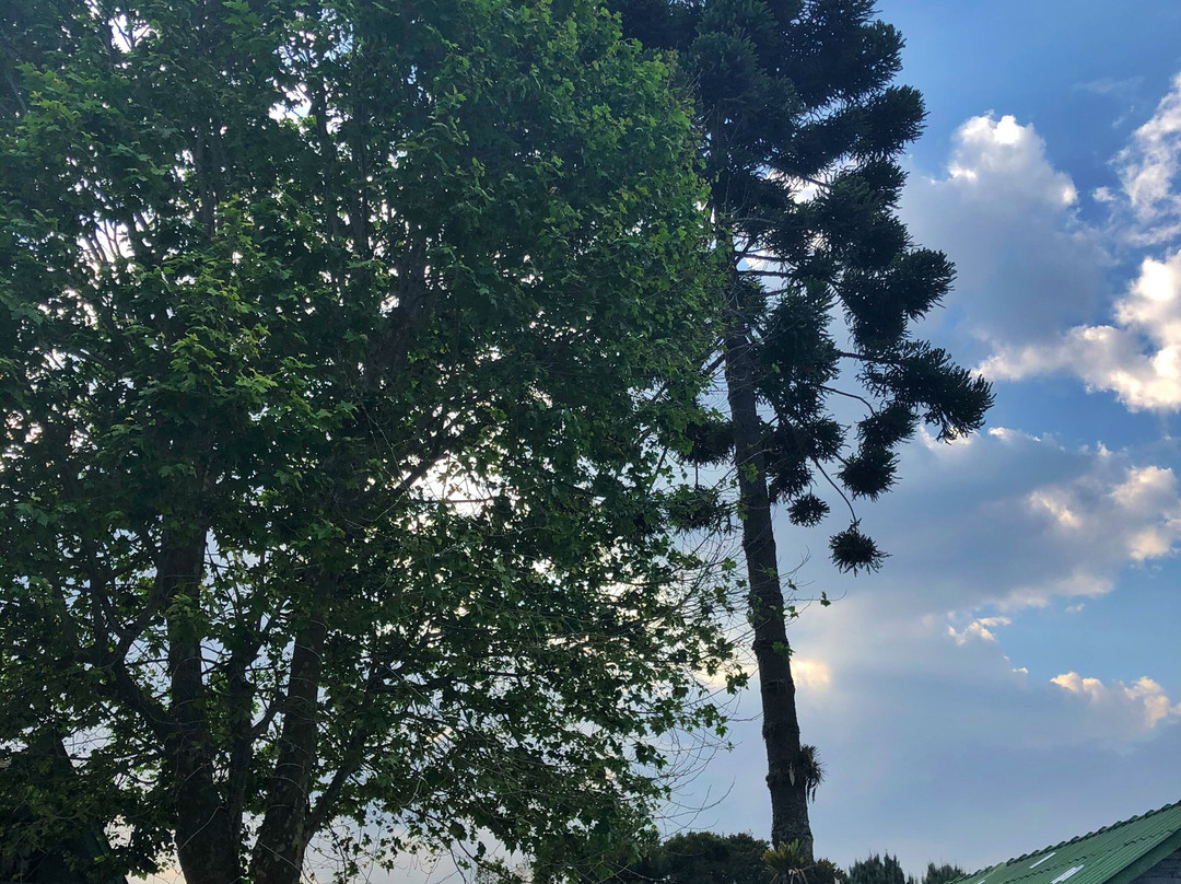 Pousada Alto da Boa Vista主图