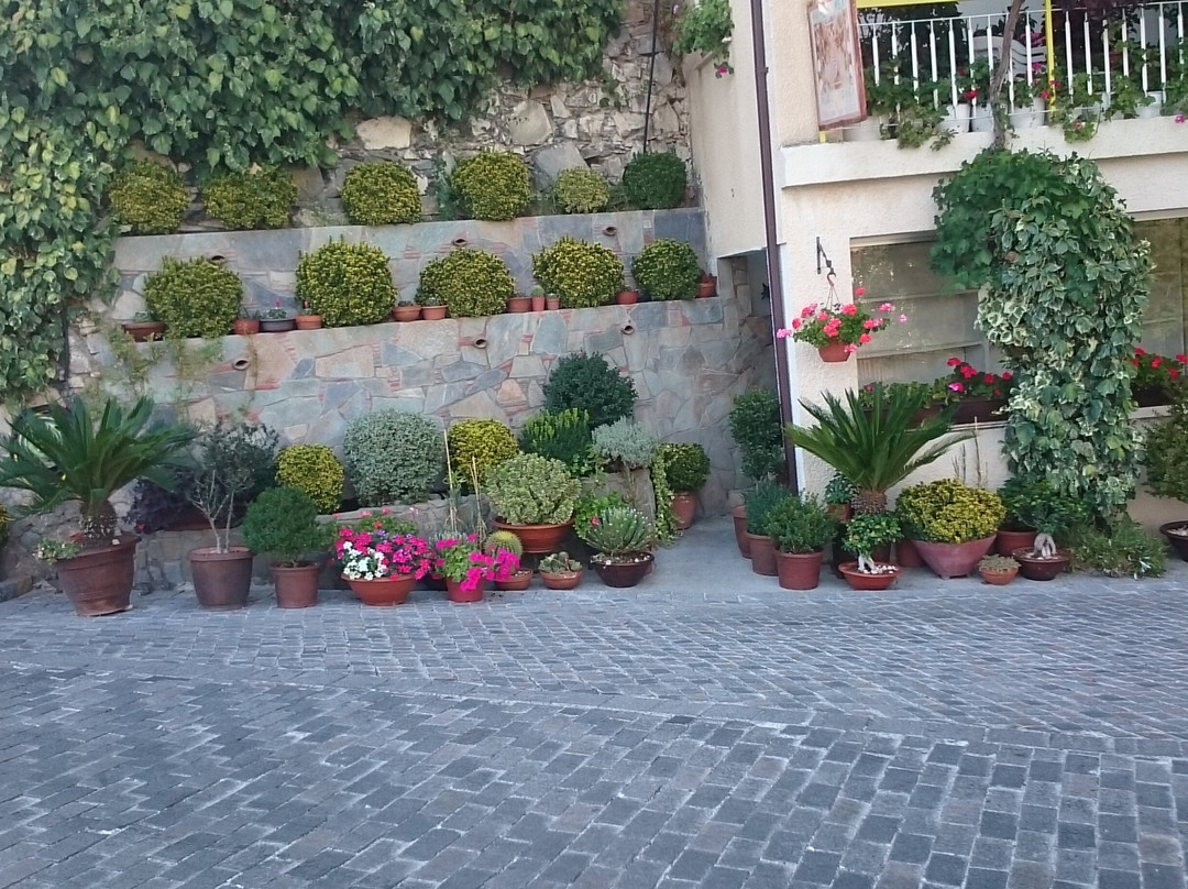 THE ROSE FACTORY CHRIS N. TSOLAKIS-Agros必去景点