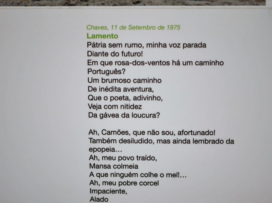 Espaço Miguel Torga景点图片