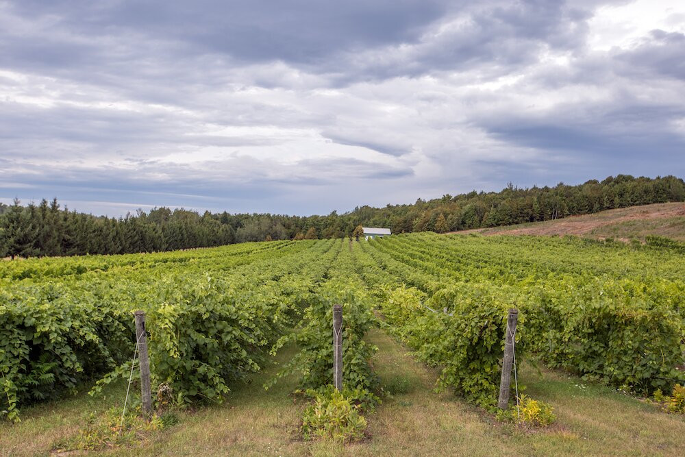 Bel Lago Winery景点图片