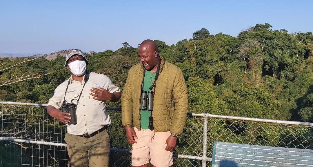 Birds of Paradise B&B主图